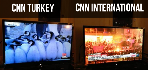 CNN International shows live coverage of the demonstrations in Taksim Square, while CNN Türk airs a penguin documentary.